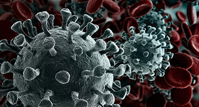 Школьные учебники по биологии на сайте school-textbook.com