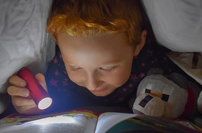 Школьные учебники по литературному чтению на сайте school-textbook.com