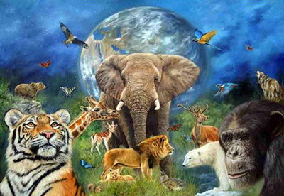 Школьные учебники окружающий мир на сайте school-textbook.com