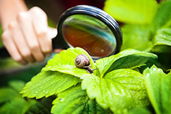 Шкільні підручники по природознаству на сайті school-textbook.com