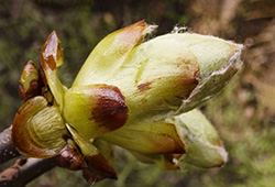 Шкільні підручники по природознаству на сайті school-textbook.com